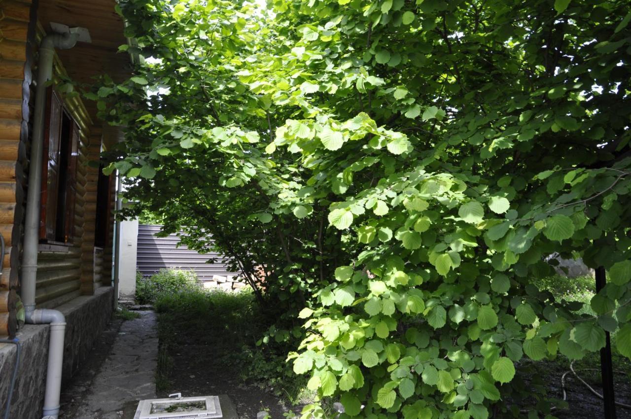 Fairy Tale Vila Gabala Exterior foto